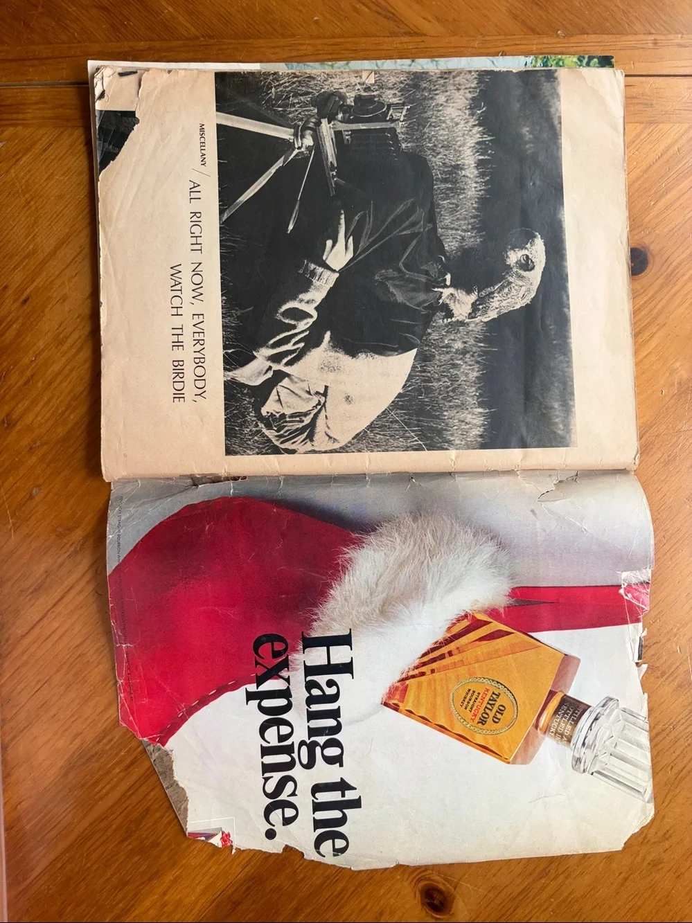LIFE Magazine November 22, 1968 — Frederick Douglass — The Search for a Black Pa